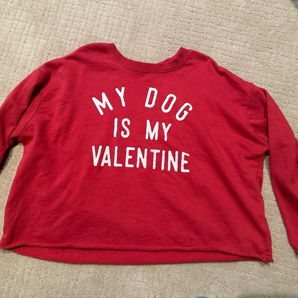 My dog is my Valentine sweatshirt. Size XS Grayson threads by target.